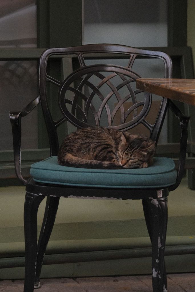 Contentment